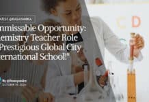 Chemistry Teacher Role at Global City International School!