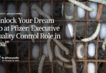 "Unlock Your Dream Job at Pfizer: Executive Quality Control Role in Goa!"