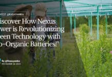 "Discover How Nexus Power is Revolutionizing Green Technology with Bio-Organic Batteries!"