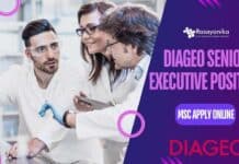 Diageo Senior Executive Position