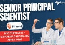 Senior Principal Scientist at Piramal - MSc Chemistry M.Pharma Candidates Apply Now!