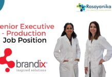Senior Executive - Production Job Position