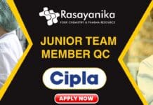  Junior Team Member QC