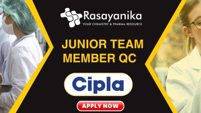  Junior Team Member QC