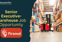 Senior Executive-Warehouse Job Opportunity