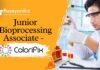 Junior Bioprocessing Associate Job at Colorifix Careers. Apply Now!