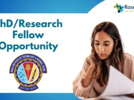 PhD/Research Fellow Opportunity