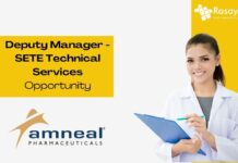 Deputy Manager - SETE Technical Services Opportunity