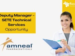 Deputy Manager - SETE Technical Services Opportunity