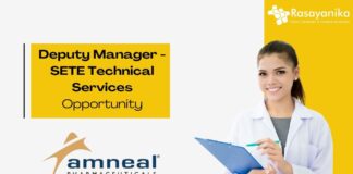 Deputy Manager - SETE Technical Services Opportunity
