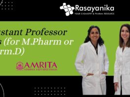 Assistant Professor Jobs