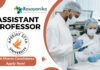 Assistant Professor
