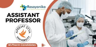 Assistant Professor