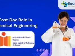 Post-Doc Role in Chemical Engineering