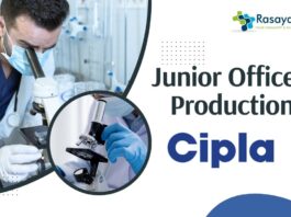 Junior Officer – Production Job at Cipla Sikkim | Candidates with a Bachelor's in Pharmacy Apply Now