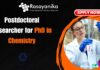 Postdoctoral Researcher