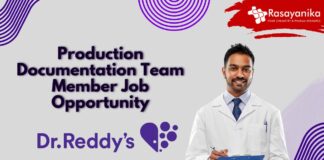 Production Documentation Team Member Job Opportunity