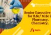 Senior Executive Job