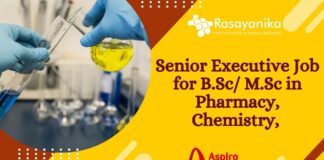 Senior Executive Job
