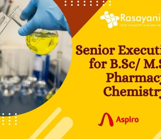 Senior Executive Job