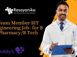 Team Member SIT Engineering Job