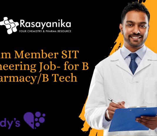 Team Member SIT Engineering Job