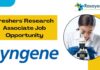Freshers' Research Associate Job Opportunity