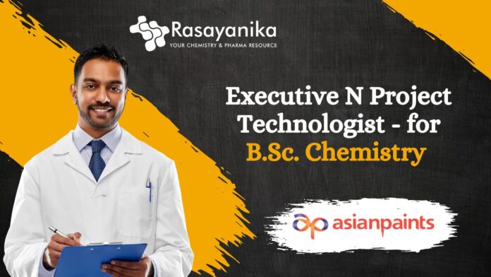 Executive N Project Technologist