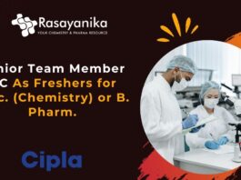 Junior Team Member QC