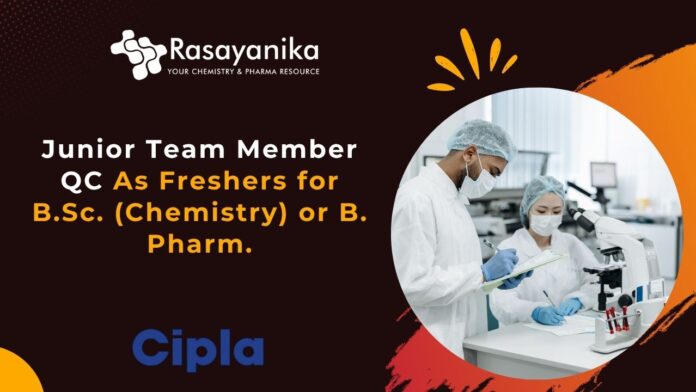Junior Team Member QC