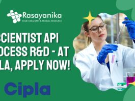 Scientist API Process R&D