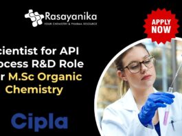 Scientist for API Process R&D Role