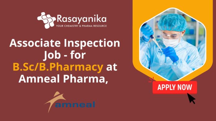 Associate Inspection Job