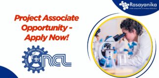 Project Associate Opportunity - Apply Now!