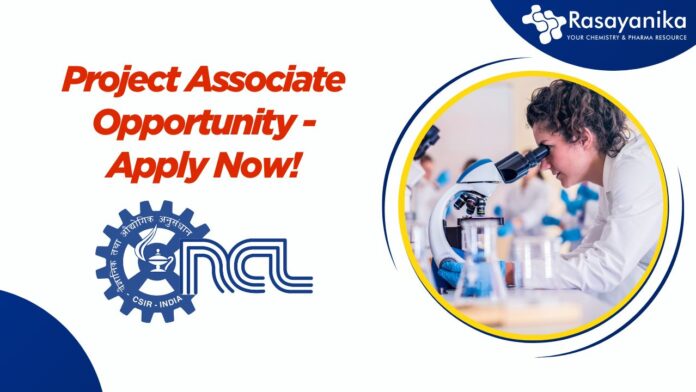 Project Associate Opportunity - Apply Now!