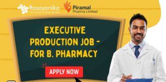 Executive Production Job (2)