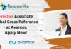 Fresher Associate Global Cross Reference