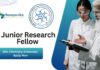 JRF Chemistry Job at IIT Gandhinagar – MSc Chemistry Graduates Apply Now