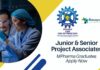 IMTECH Project & Senior Project Associates Job Roles – MPharma Graduates Apply Now