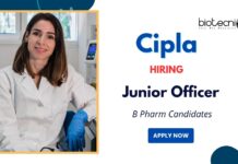 B Pharm Jobs at Cipla Apply Now for Junior Officer Position