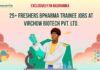 BPharma Freshers Job Vacancies
