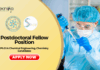 Postdoctoral Fellow at IIT Gandhinagar | PhD Chemical Engineering Candidates Apply Now