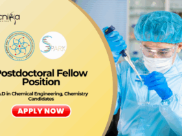 Postdoctoral Fellow at IIT Gandhinagar | PhD Chemical Engineering Candidates Apply Now