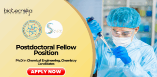 Postdoctoral Fellow at IIT Gandhinagar | PhD Chemical Engineering Candidates Apply Now