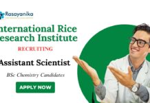 BSc Chemistry Jobs at IRRI | Apply Now for Assistant Scientist Role