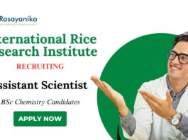 BSc Chemistry Jobs at IRRI | Apply Now for Assistant Scientist Role
