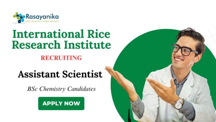 BSc Chemistry Jobs at IRRI | Apply Now for Assistant Scientist Role