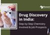 Drug Discovery in India: Step-by-Step Chemistry Involved & Job Prospects Drug Discovery in India: Step-by-Step Chemistry Involved & Job Prospects