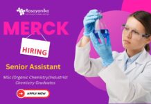 Join Merck as Senior Assistant Process R&D & Scale-Up Expert ,Merck careers,msc chemistry jobs,jobs after msc chemistry