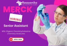 Join Merck as Senior Assistant Process R&D & Scale-Up Expert ,Merck careers,msc chemistry jobs,jobs after msc chemistry